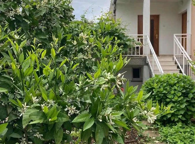 Appartement Ija Krk Town